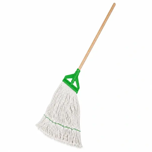 Kentucky Mop 